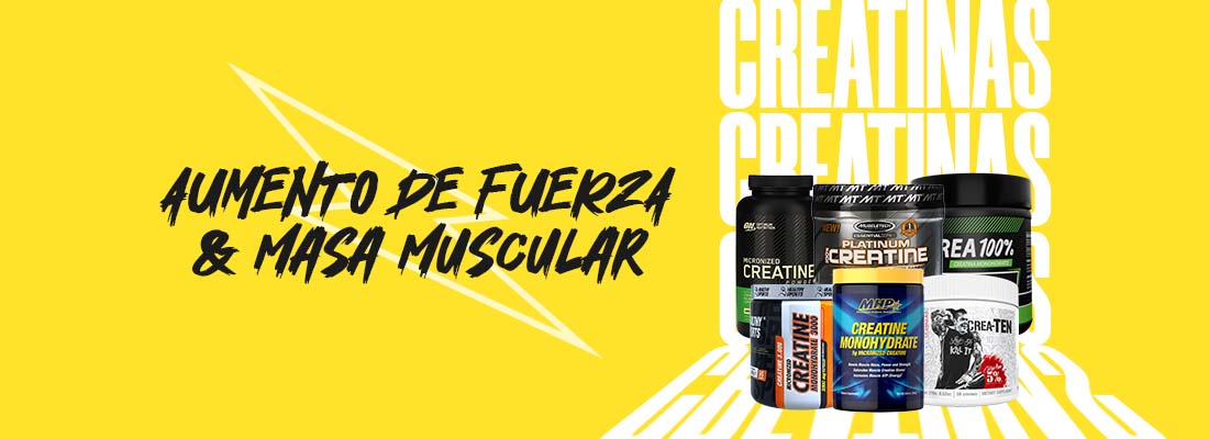 Creatina ¡Conoce todos sus beneficios!