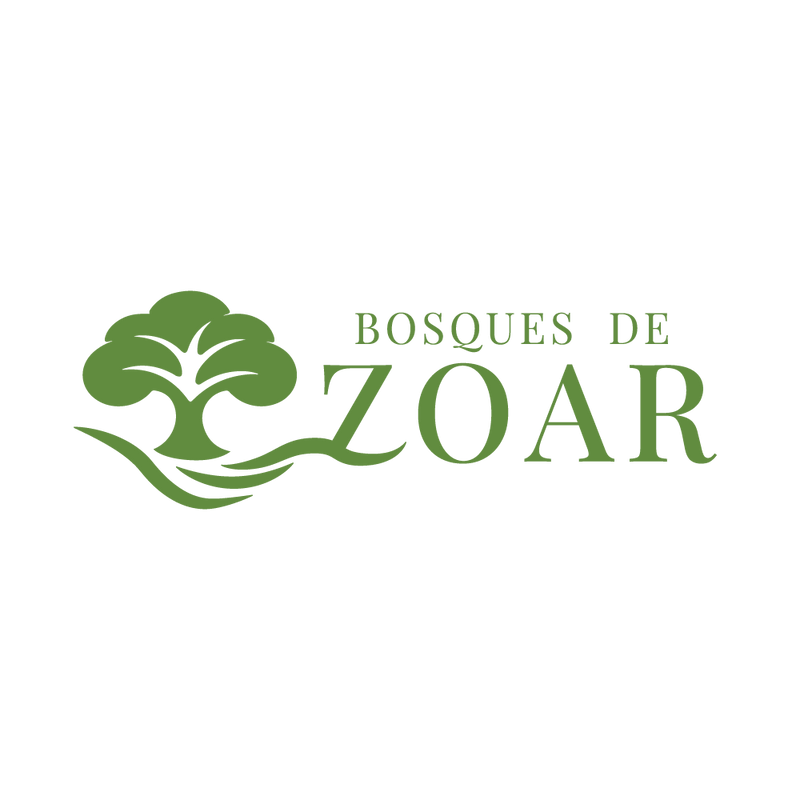 Natural Shop