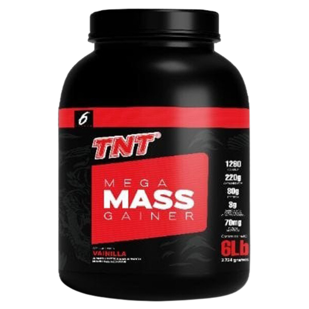 TNT MEGA MASS GAINER