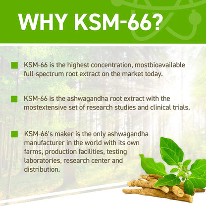ASHWAGANDHA KSM-66 APPLIED NUTRITION