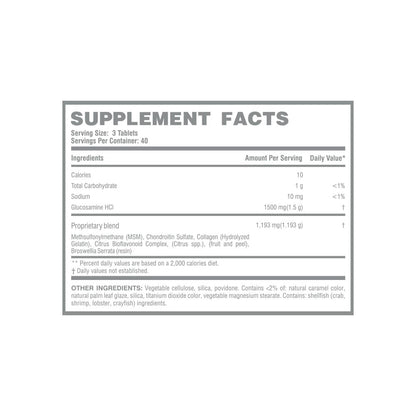 GLUCOSAMINE & GONDROITINA CON MSN LANDER FIT