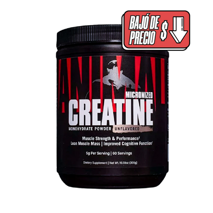 ANIMAL CREATINE UNIVERSAL