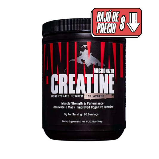 ANIMAL CREATINE UNIVERSAL